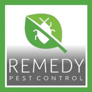Remedy Pest Control
