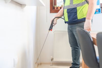 Ant Control Service in Katy, TX