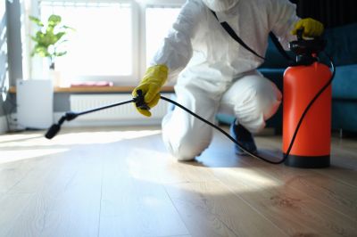 Common Spiders Extermination in Rockwall, TX
