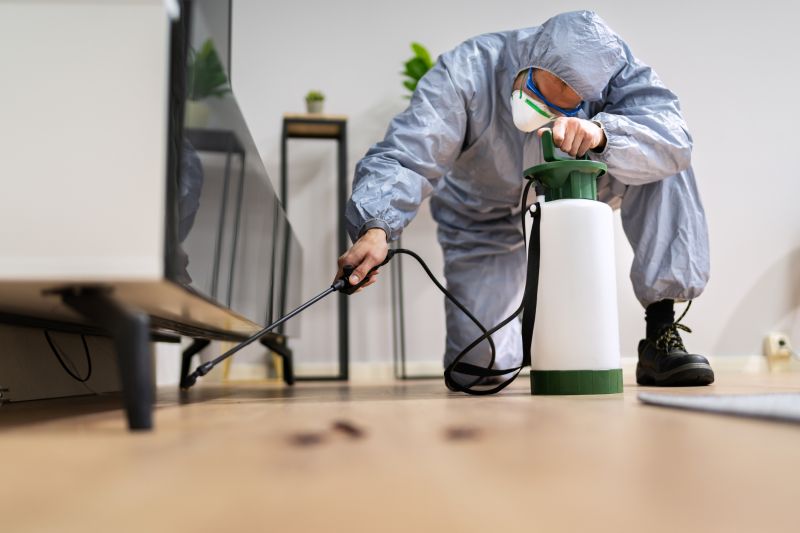 Fumigation Service in Asheville, NC