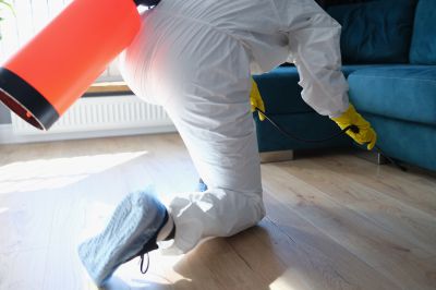 Fumigation Service in Fort Myers, FL