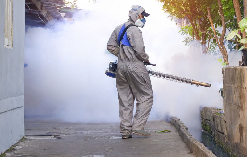 Mosquito Control Service in Katy, TX