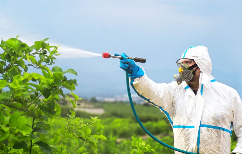 Pest Fumigation Service in San Antonio, TX