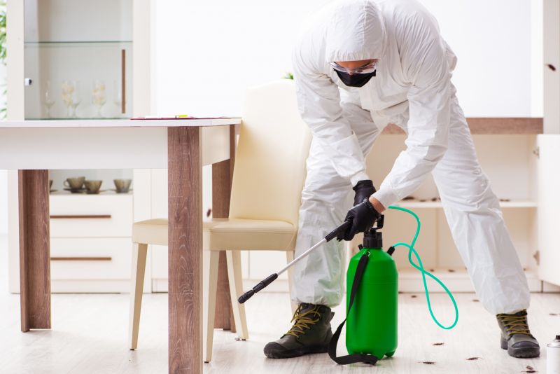 Residential Pest Control in Katy, TX
