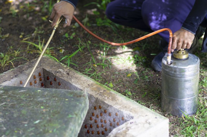 Roach Fumigation in West Palm Beach, FL