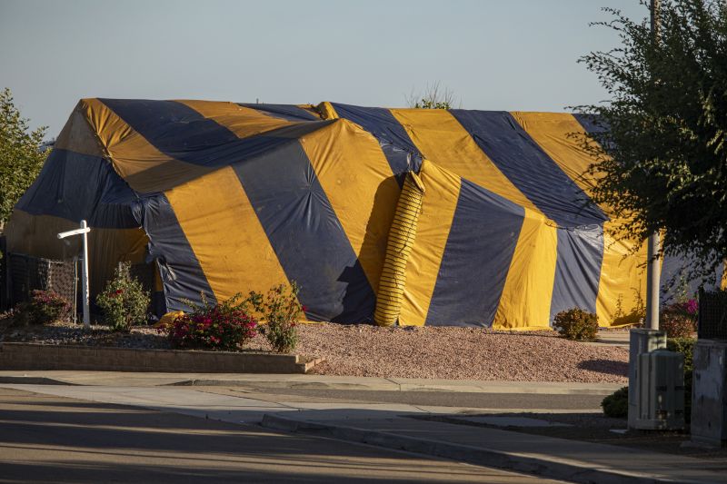 Termite Tenting in Columbus, OH